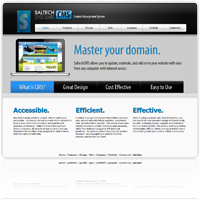 Web Content Management System by Saltech Systems