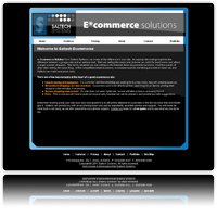 E Commerce Solutions by Saltech Systems